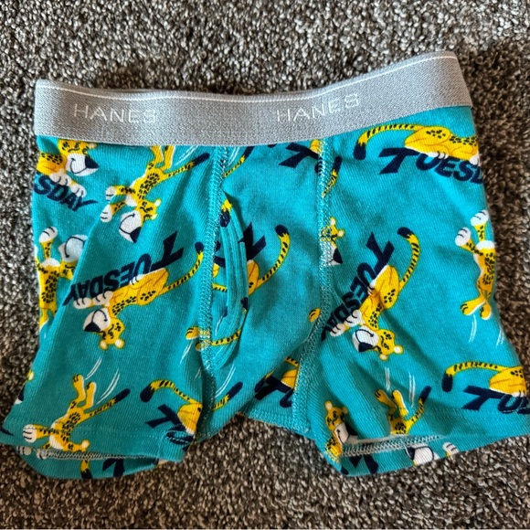 Hanes Boys' Underwear Set - Days of the Week Animal Theme NWOT - Picture 11 of 12